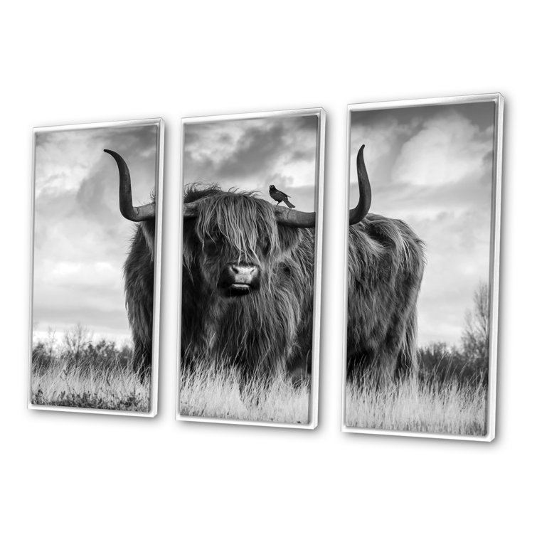 Foundry Select Longhaired Scottish Bull Framed On Canvas 3 Pieces Print